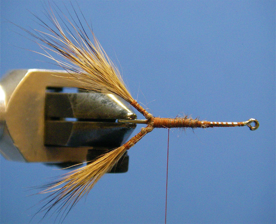 Tying a Crayfish Fly 